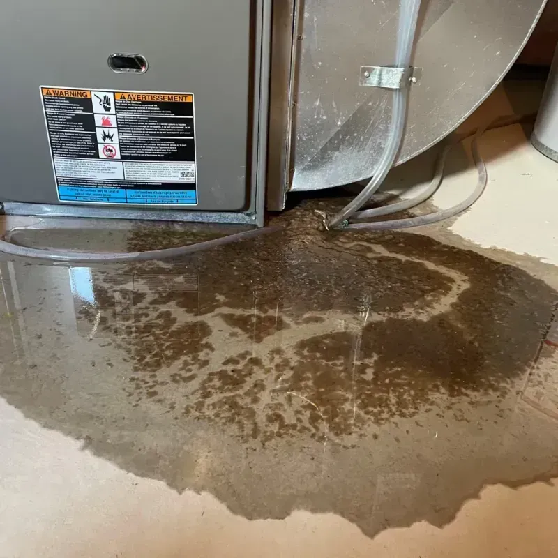 Appliance Leak Cleanup in Chesterton, IN